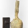 Marilu Swett, "Small Vertigo," 2012, cast bronze with copper screws, 11 x 4 x 8 inches. Photo credit Stewart Clements.<br />